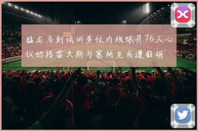 猛龙马刺试训多位内线球员76人心仪的格雷夫斯与塞纳克或遭截胡